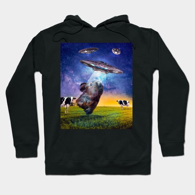 Guinea Pig UFO Abduction Hoodie by Random Galaxy